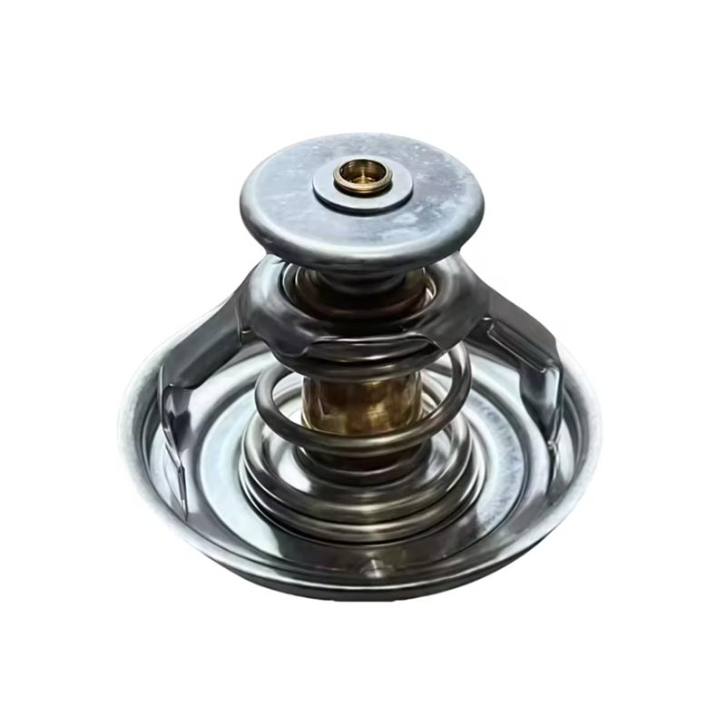 ट्रक इन्जिन थर्मोस्टेट 1000837830